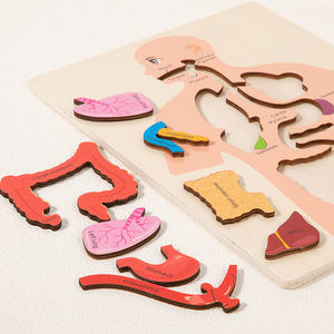 Casse-tête d'apprentissage personnalisé pour organes humains Parties du corps Blocs de cognition Jeux de société assortis Jouets éducatifs pour enfants Garçons Filles - Product Image 4
