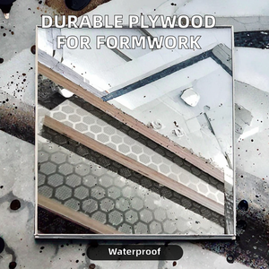 Compensato per Costruzioni Esterne Moderno 1220*2440mm E1 con Impiallacciatura in Betulla Melaminica, 12mm 15mm 18mm per Officina Esterna - Product Image 4