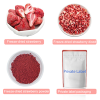 Novenzyme Groothandel Bulk 100% Zuivere Natuurlijke Vriesgedroogde Aardbeien