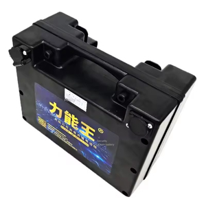 12V 24V 100AH <span class=keywords><strong>120Ah</strong></span> 200AH 300ah LiFePO4 sắt Phosphate chu kỳ sâu 100kwh pin Lithium ion - Product Image 1