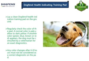 Almohadillas Indicadoras de Salud para Perros Desechables al por Mayor con Función de Cambio de Color - Product Image 3