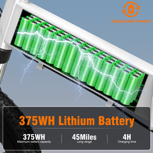 จักรยานไฟฟ้าพับได้ 250W ได้รับการรับรองมาตรฐาน CE จากคลังสินค้า EU แบตเตอรี่ลิเธียม 48V 7.8Ah โครงอะลูมิเนียมอัลลอยด์ น้ำหนักเบา เกียร์ 5 สปีด - Product Image 4
