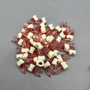 Modello dentale educativo: dente canalare a bande rosse con radici per la pratica studentesca in endodonzia e riempimento della cavità - Product Image 3