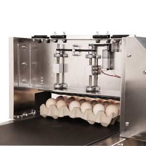 Nuovo Design a 6 teste macchina per stampare/codificare/marcatrice per uova - Product Image 4