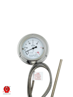 Temperature Thermometer 0-200C Capillary Remote Probe Stainless Steel IP66 Dial Display 1 Year Warranty OEM/ODM