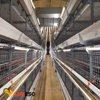 Agrieso Cage de batterie pour poulets de chair de matériel de ferme avicole automatique à vendre à bon prix
