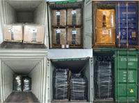 Charbon actif en bois de haute qualité produit en usine Coque de noix de coco/Agent auxiliaire chimique de charbon pour l'industrie pétrochimique