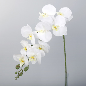 ดอกกล้วยไม้ปลอมดอกกล้วยไม้กล้วยไม้สัมผัสเหมือนจริงอย่างเป็นธรรมชาติ - Product Image 1