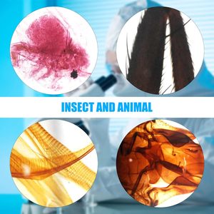 สไลด์สำเร็จรูปสำหรับกล้องจุลทรรศน์ วิทยาศาสตร์สัตว์ อนุภาคชีววัตถุ  วัสดุพลาสติกและแก้ว สำหรับโรงเรียน  ขายส่งจากโรงงาน สำหรับการสอนวิทยาศาสตร์การแพทย์ - Product Image 4