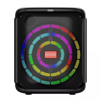 Haut-parleurs portables 25W alimentés par T 8 pouces Bon prix Haut-parleur de fête en plein air Bt Trolley avec enceinte Bluetooth portable