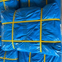 Bâche PE imperméable pour abri de jardin, protection de plantes, bâche de protection pour bateaux et camions, couverture d'ombrage imperméable, rouleau de tissu imperméable
