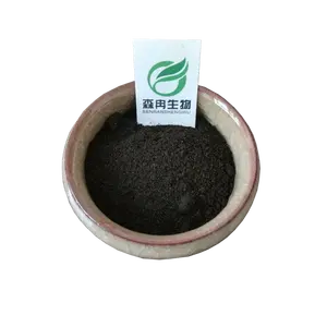 Poudre d'extrait de fourmi noire Produits de soins de santé de haute qualité poudre de roi fourmi noire/fourmi noire p.e.10:1