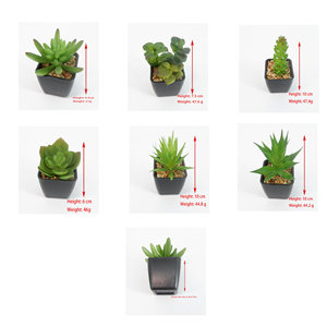 DIY creativo Micro paisaje Artificial Mini suculentas negro PP maceta miniatura planta suculenta - Product Image 4