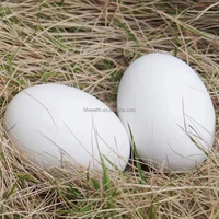 Venta al por mayor huevos ficticios de plástico modelo granja de aves de corral uso doméstico huevos artificiales de plástico para niños DIY pintado a mano rompecabezas huevo de juguete