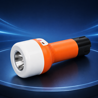 Lampe torche LED rechargeable portable, 21 LED haute luminosité, 2400 mAh, type C, pour le camping, les situations d'urgence et l'éclairage domestique