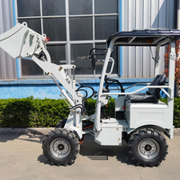 Günstige CE Mini-Radlader, Teleskop-Kleinlader mit 4 Rädern, Elektrisch, 500 kg, Top-Angebot