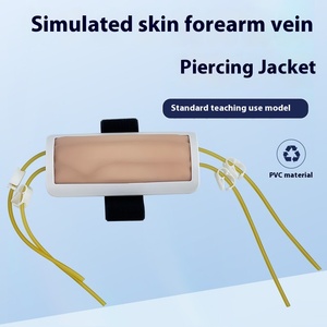 의과 대학 훈련 주입/수혈/혈액 그리기 재킷/팔 주사 혈액 그리기를위한 팔뚝 정맥 펑크 모델 - Product Image 5