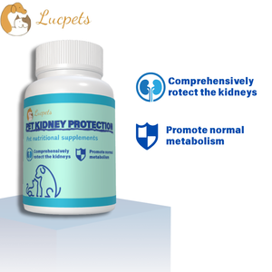 Suplemento nutricional para el cuidado de los riñones para mascotas Tabletas masticables para la protección de la salud de las mascotas - Product Image 3