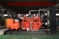 Groupe électrogène au biogaz GPL à combustion rapide haute puissance, type ouvert, gaz naturel, 80% d'efficacité, démarrage 24V CC pour une production stable