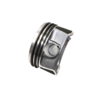 High Quality Auto Parts Car Engine Piston Assembly 06D107065D for C6 Audi A4