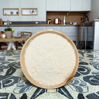 Isolat de protéines de riz pour yaourt végétal avec une texture améliorée, qualité alimentaire, séché par pulvérisation, marque AHAX