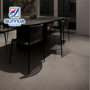 Foshan 600X600X9.5mm Mat Rustique Foor Carrelage Usine Béton Style Gris Ciment Porcelaine Rustique Antidérapant Carrelage - Product Image 2