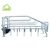 Cage de maternité personnalisable pour truies, directement de l'usine, pour l'élevage porcin