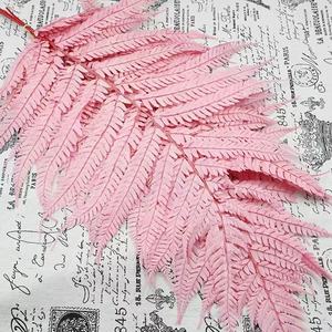 Decorazione per la casa in stile nordico foglia di felce conservata usata san valentino e decorazione di nozze - Product Image 4