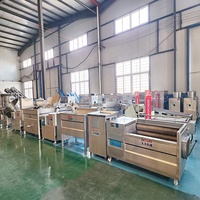 DY levert oplossingen voor kleine productielijnen van aardappelchips/frietjes van roestvrij staal, semi-automatisch, 50-200 kg/uur.