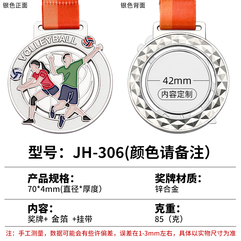 Volleyball-médaille d'argent