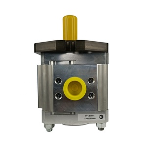 Bomba de Engranajes ECKERLE EIPC6-125RA23-11 EIPC6-160RA/RB23 890-EI-1250/1600 para Máquinas de Moldeo por Inyección, Alemania - Product Image 5