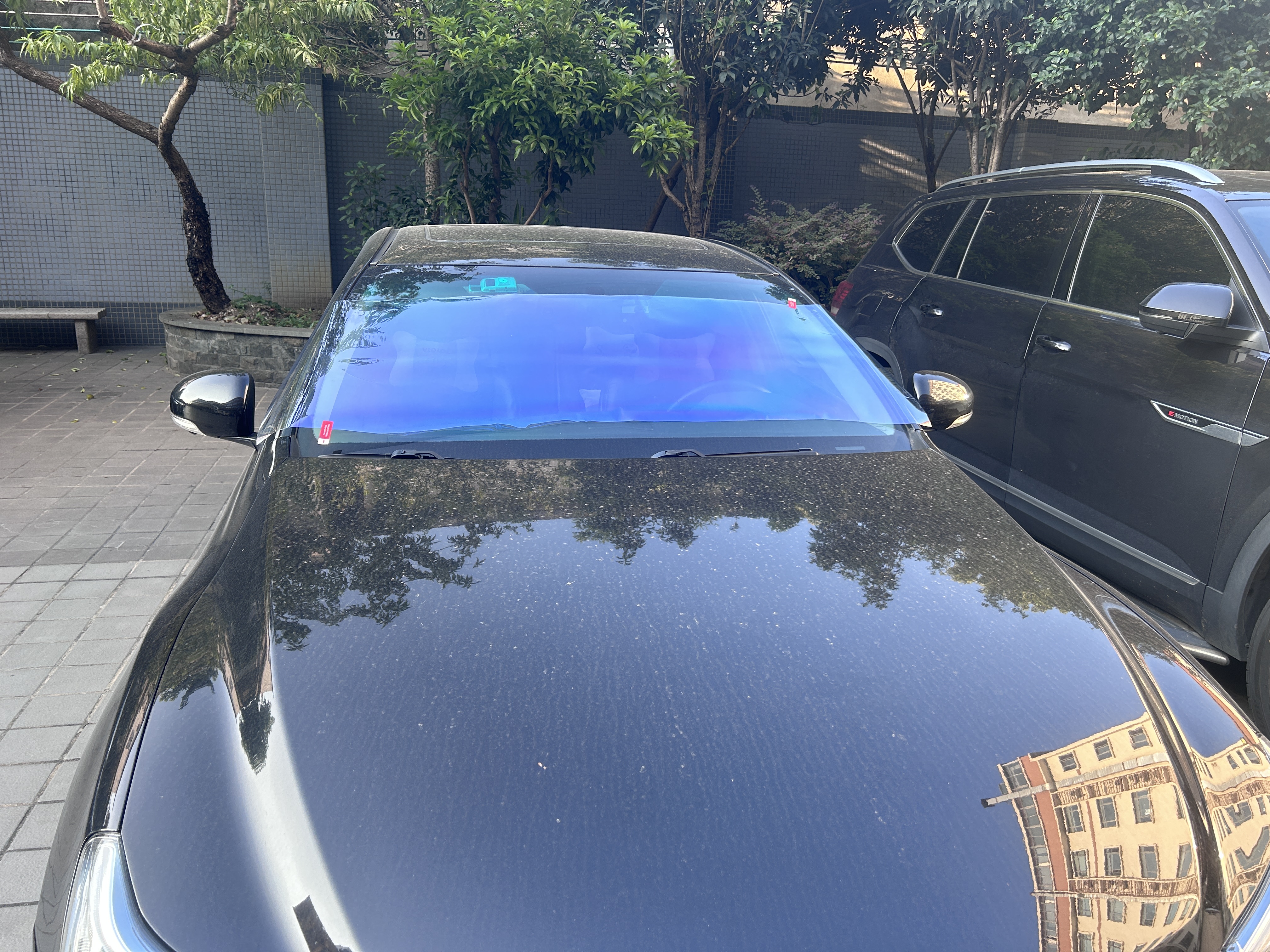 8099 bleu