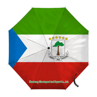 Parapluie pliant avec drapeau du Burkina Faso, ouverture et fermeture automatiques, parapluie compact, portable, grand format, pour la protection contre la pluie, résistant au vent