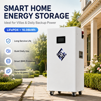 Gabinete con Ruedas para Baterías LiFePO4 de 51.2V 314Ah para Aplicaciones de Almacenamiento de Energía Limpia en el Hogar