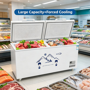 Congélateur horizontal commercial à porte simple pour supermarché, réfrigérateur <span class=keywords><strong>grande</strong></span> capacité avec portes solides verrouillables - Product Image 3