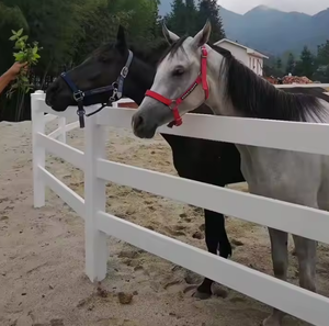 Poste de Pvc y valla de caballo de riel para <span class=keywords><strong>estad</strong></span>ías ecuestres tradicionales Cerca de caballo de alambre revestido negro - Product Image 6