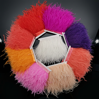Plumes d'autruche moelleuses en gros, couleurs teintées, pour robes de soirée, vêtements, accessoires de décoration, fourniture d'usine