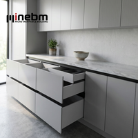 Cuisine moderne modulaire en contreplaqué avec placage PVC, armoire avec robinet, couleur personnalisable, design noir