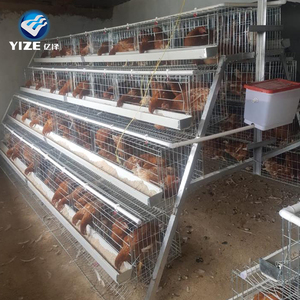 Gia cầm trang trại nhà thiết kế/xây dựng HTX gà/pin lồng gà đẻ - Product Image 5