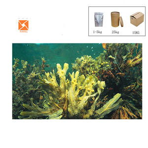 Высококачественный водорастворимый чистый натуральный 0.1%-0.5% йод, органический порошок экстракта <span class=keywords><strong>Fucus</strong></span> <span class=keywords><strong>Vesiculosus</strong></span> - Product Image 2