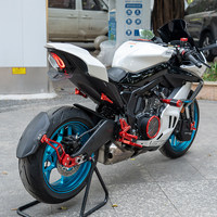Conjunto de Luz Trasera LED SRR SE con Intermitentes y Lente Transparente, Plug and Play para la Serie CFMOTO SR