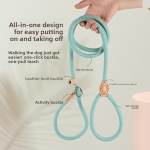 Guinzaglio per Addestramento Cani, Resistente alle Esplosioni, Corda e Catena in PP Rinforzato, Stile Classico - Product Image 1