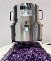 Automatische koolversnipperaar, elektrische versnipperaar voor kool, olijven en uien, Japanse versnipperaarmachine