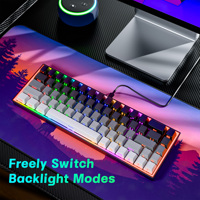 Hot Swappable 68 Keys Gaming Keyboard with Side Printed PBT Keycaps Blue Switch Mechanical Keyboard for Laptop PC Gamer Keyboard