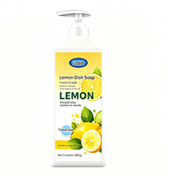 Détergent concentré au citron, traitement personnalisé, liquide vaisselle enrichi en vitamine E pour la protection des mains, usage domestique, fruits et légumes