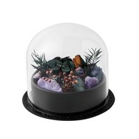 Coffret cadeau d'arômes style nature sauvage, diffuseur d'huiles essentielles en pierre, parfum longue durée pour la décoration de la maison et les cadeaux