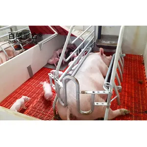 Fertige Stahlrahmen schuppen Schweine zucht ausrüstung Galvani zed Pig Farm House