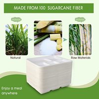 Assiettes compostables à 5 compartiments avec logo personnalisé, écologiques, jetables, en bagasse de canne à sucre, pour le déjeuner scolaire, biodégradables, plateaux alimentaires