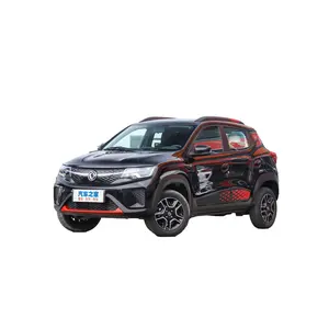 Fast Delivery Dacia Spring EX1 Dongfeng EV 331KM Long Range 33KW Luxury Big SUV Car Adult Electric Vehicles Made In China