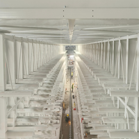 Système de rayonnage cantilever standard UE en acier robuste, capacité de charge 2000 kg, résistant à la corrosion, avec cadre de stockage à barres longues